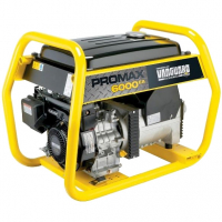 Бензиновый генератор Briggs and Stratton Pro Max 6000EA